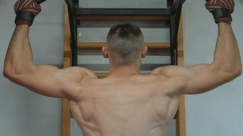 Image of pull ups muscles worked.